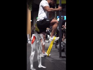 Тренировка на укрепление верхних мышц ног
