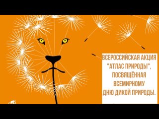 Видео от ГБОУ школа-интернат № 68 Санкт-Петербурга