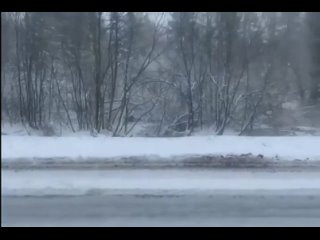 Трассу М-11 «Нева» заносит снегом

Водителей призывают ?