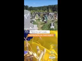 Нету тела - нету делаАвтор видео рассказывает, что киевская власть дала указание не размещать флаги на могилах ВСУшник