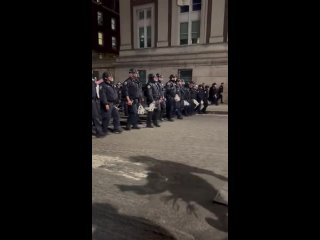 Polizei infiltriert Campus der Columbia University wegen pro-palstinensischer Proteste