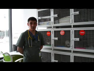 Video by Ветеринарная клиника Движение | Ижевск