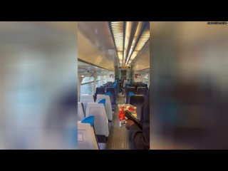 Мигрант с огромным ножом несколько раз пырнул пассажира в вагоне поезда в Лондоне  В результате напа