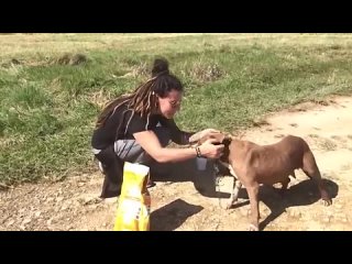 Animals Being FREED For The First Time!.mp4