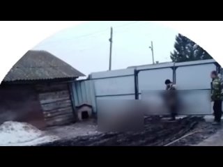 В Красноярском крае мужчина застрелил собаку и отправил видео с расправой 13-летней дочери хозяйки