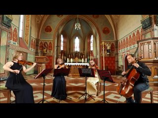 Franz Joseph Haydn  Serenade (from Strings Quartets, Op.3 n 5)
