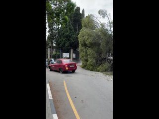 Видео от ПЛОХИЕ НОВОСТИ | ЖЕСТЬ. КРЫМ