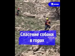 Спасение собаки в горах