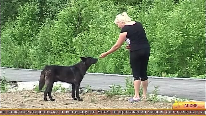 Видео от СОЮЗ-ТВ-Чусовой