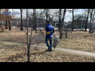 Амурские партийцы высадили новые деревья на аллее им. В.В. Жириновского
