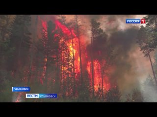 Пламя красиво только тогда, когда оно управляемо. Об этом напоминает фотовыставка “Останови огонь!“