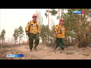 Вся территория Курганской вошла в зону повышенной вероятности лесных пожаров