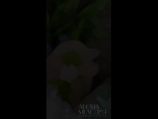 Видео от АРОМА_МЕЛОДИЯ # Ароматные СВЕЧИ ручной работы