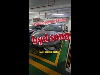 Знаменитый китайский бренд: BYD New Energy