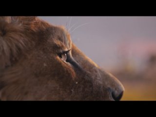 Муфаса: Король лев | Трейлер