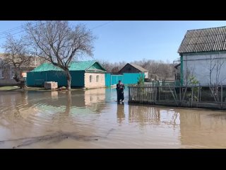 Татарстанские спасатели вернули хозяевам кота из затопленного дома в Оренбургской области