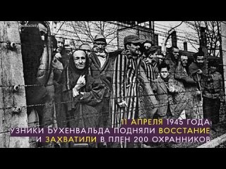 Международный день освобождения узников фашистских концлагерей (1).mp4