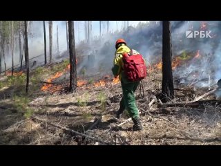 В Улан-Удэ введен режим ЧС из-за лесных пожаров, сообщил мэр Игорь Шутенков.