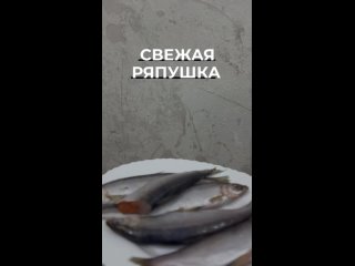 Видео от Рыбка Ряпушка Новый Уренгой