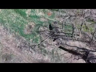 🔥Новые кадры уничтожения врага FPV дронами «ВТ-40»

🇷🇺СУДНЫЙ ДЕНЬ🇷🇺

“Судоплатов“