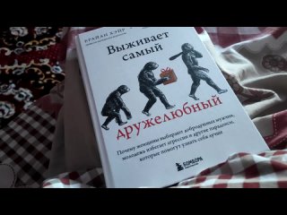 [Miroslavsky Dmitry] Итоги 5ти дневного воздержания от интернета и не только.