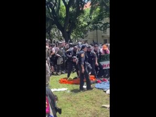 La polizia di stato del Texas ha iniziato ad arrestare manifestanti filo-palestinesi all'Universit di Austin