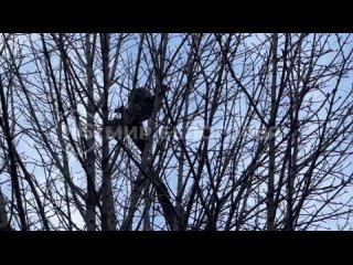 Последствия обстрела в центре Белгорода. Дорога усыпана обломками сбитых ПВО снарядов