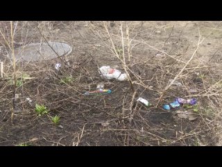 С приходом весеннего тепла на улицах Зеленодольска традиционно появляются первые мусорные подснежники