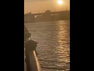 Из-за поднятия уровня воды в реке Дон началось подтопление пляжа на Левобережье.  С 14 апреля спасатели фиксируют... (видео)
