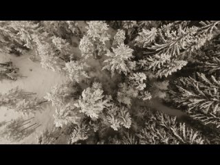 SUNO AI &  Marcus Denight - Silent cold winter