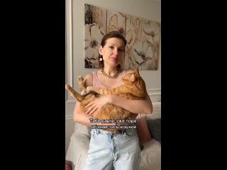 Видео от Шотландские котята питомника “FREYA“, Омск