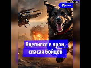 Вцепился в дрон, спасая бойцов    Подвиг пса по кличке Балбес навсегда останется в памяти наших бой