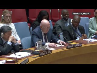 Выступление постпреда РФ при ООН Василия Небензи на Совете безопасности ООН