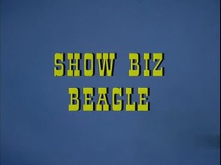 Woody Woodpecker - Show Biz Beagle (1972) (UPDATED WITH FULL SCREEN)