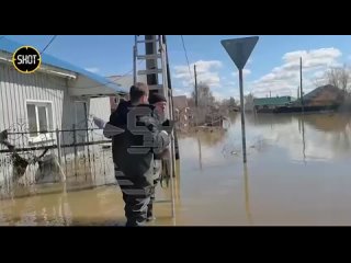 Трогательные кадры: спасатели и волонтёры спасают и животных, борясь со стихиейУсиленные группировки МЧС России работают