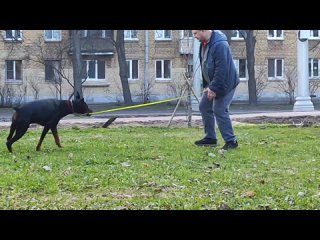 Видео от Ольги Ткаченко