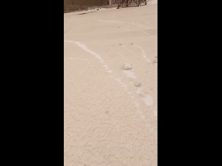 Рулончики из снега: на Бурейской ГЭС наблюдают редкое природное явление