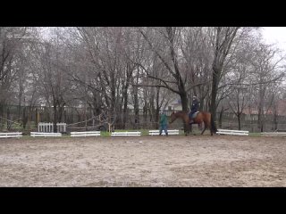 Николаевские спецслужбы продолжают отрабатывать госсредства на медийную повестку