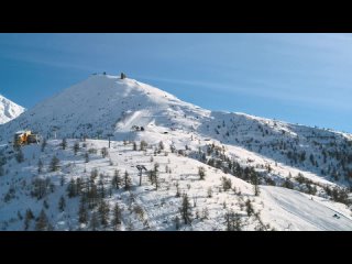 Хотстеры - сочные мини-сосиски в тесте!