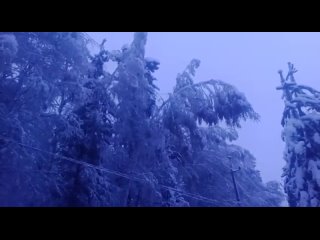 Мощный снегопад накрыл Свердловскую область.