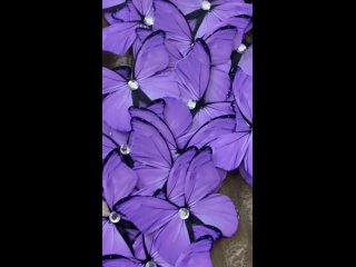 Видео от Botanical Bliss/Атласные розы