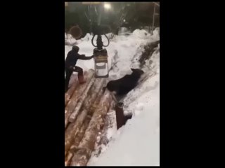 Видео от Охота и рыбалка в Карелии.