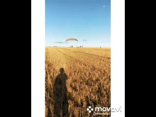 MovaviClips_Video_9.mp4