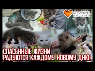 Спасенные жизни радуются каждому новому дню! | Эйс, Фисташка, Юстас и Айсинг