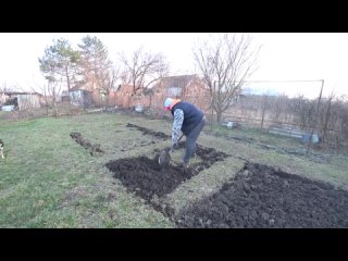 Поняли, что рыбку будем покупать чаще. Копаем картошку в феврале.