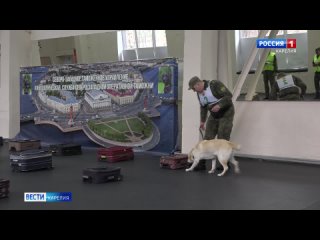 В Петрозаводске начались соревнования по многоборью работников таможенных служб Северо-Запада