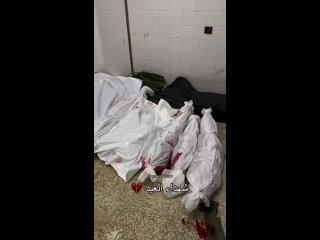 ️Mártires de la masacre de la noche del Eid: 14 niños y mujeres martirizados en el bombardeo de la casa de la familia Abu Yousse