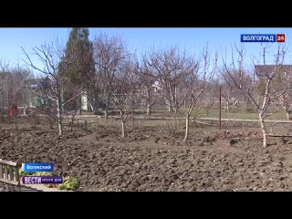 Новый дачный сезон после долгой зимы стартует в Волгоградской области. Садоводы уже во всю собираются на участки и штурмуют оста