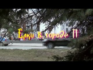 Ёлки в городе П