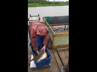 Video by Алешкины пруды.  Домики с баней на берегу озера